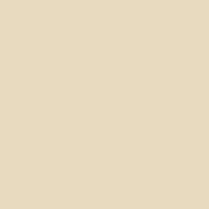 10_light_beige